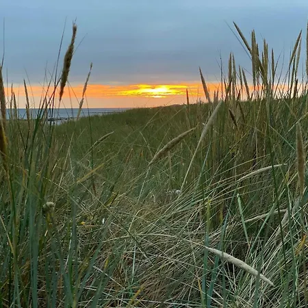 4 Star In Feriehus Blåvand